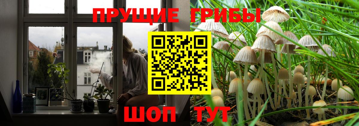 Галлюциногенные грибы Magic Shrooms  Вход с VPN  где найти   Богородицк  Галлюциногенные грибы Cubensis 
